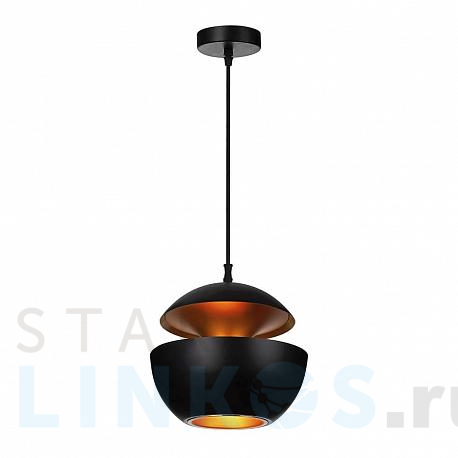 Купить Подвесной светильник Loft IT Apple LOFT2212-B за 11 590 руб. в Туле фото 2 Купить с доставкой Подвесной светильник Loft IT Apple LOFT2212-B в Туле фото 2