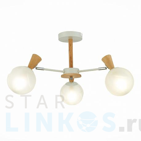 Купить Потолочная люстра Evoluce Catania SLE220702-03 за 7 680 руб. в Туле фото 2 Купить с доставкой Потолочная люстра Evoluce Catania SLE220702-03 в Туле фото 2