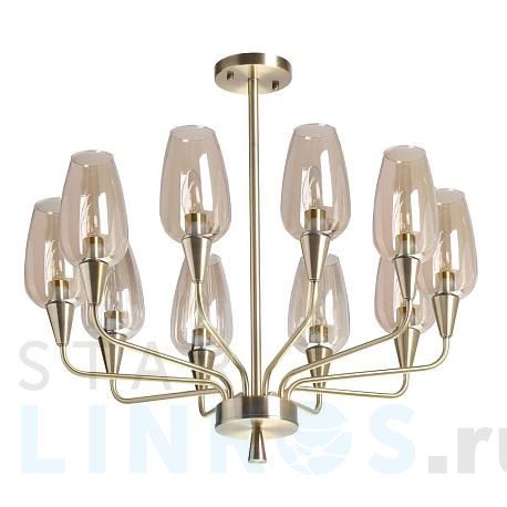 Купить Подвесная люстра MW-Light Элла 483015710 за 33 480 руб. в Туле фото 2 Купить с доставкой Подвесная люстра MW-Light Элла 483015710 в Туле фото 2