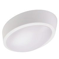 Купить Настенно-потолочный светодиодный светильник Jazzway PBH-PC-OA 1024565 в Туле