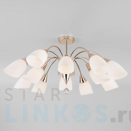 Купить Потолочная люстра Eurosvet 30149 золото за 16 500 руб. в Туле фото 2 Купить с доставкой Потолочная люстра Eurosvet 30149 золото в Туле фото 2