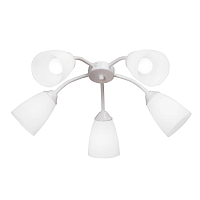 Купить Потолочная люстра Vitaluce V3187/5PL в Туле