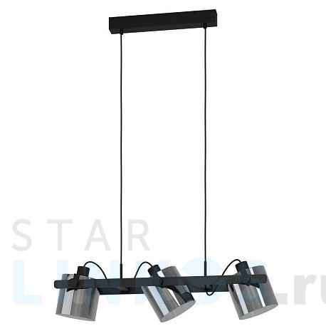 Купить Подвесная люстра Eglo Hornwood 2 43606 за 29 690 руб. в Туле фото 2 Купить с доставкой Подвесная люстра Eglo Hornwood 2 43606 в Туле фото 2