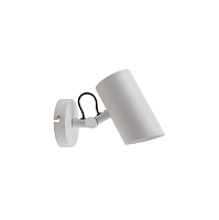 Купить Настенно-потолочный светильник Kanlux AGZAR EL-10 W 36255 в Туле