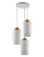Купить Подвесная люстра 33 Идеи PND105.03.16FG3.001.WH-M16WT в Туле