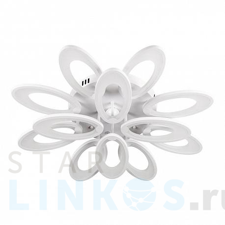 Купить Потолочная светодиодная люстра Escada 10238/12LED за 19 500 руб. в Туле фото 2 Купить с доставкой Потолочная светодиодная люстра Escada 10238/12LED в Туле фото 2