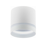 Купить Накладной потолочный светильник Ritter Arton 59942 5 в Туле