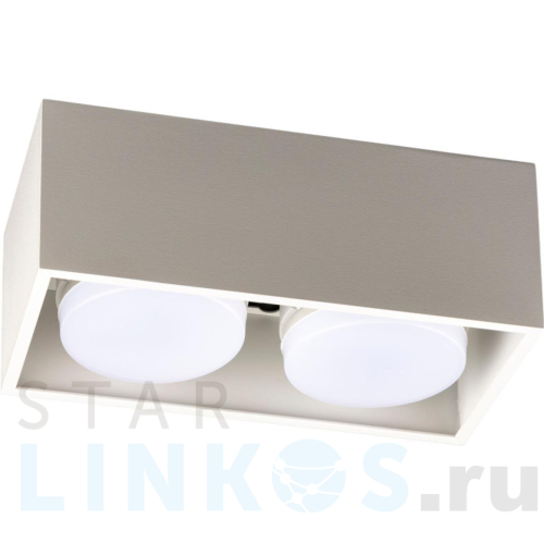 Купить с доставкой Накладной потолочный светильник Ritter Arton 51403 9 в Туле