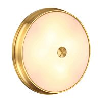 Купить Настенно-потолочный светильник Odeon Light Walli Marsei 4824/4C в Туле