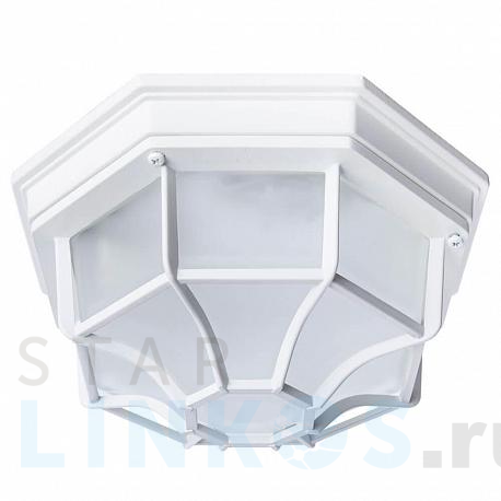 Купить Уличный светильник Arte Lamp Pegasus A3100PL-1WH за 2 990 руб. в Туле фото 2 Купить с доставкой Уличный светильник Arte Lamp Pegasus A3100PL-1WH в Туле фото 2