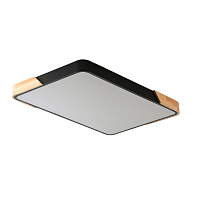 Купить Потолочный светильник Zortes ALBERRO ZRS.01244.60 в Туле