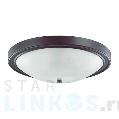 Купить Настенно-потолочный светильник Lumion Vintage Nina 5260/4C за 4 400 руб. в Туле фото 2 Купить с доставкой Настенно-потолочный светильник Lumion Vintage Nina 5260/4C в Туле фото 2