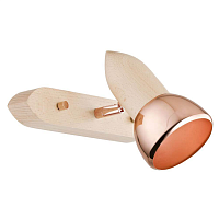 Купить Спот Alfa Spark Miedz 24420 в Туле