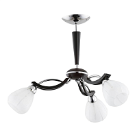 Купить Потолочная люстра Alfa Areta 20783 в Туле