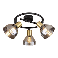 Купить Спот Rivoli Kinge 7036-733 Б0052877 в Туле