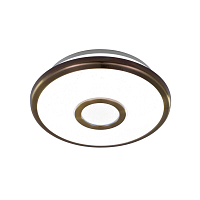 Купить Потолочный светодиодный светильник Citilux СтарЛайт CL70313 в Туле