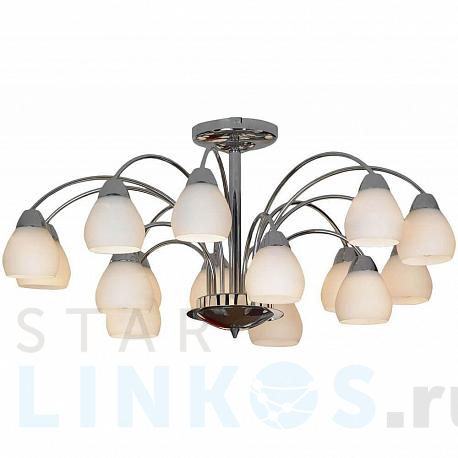 Купить Потолочная люстра Lussole Apiro GRLSF-2403-15 за 32 574 руб. в Туле фото 2 Купить с доставкой Потолочная люстра Lussole Apiro GRLSF-2403-15 в Туле фото 2