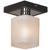 Купить Потолочный светильник Lussole Costanzo GRLSL-9007-01 в Туле