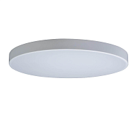 Купить Потолочный светодиодный светильник Loft IT Axel 10002/48 white в Туле