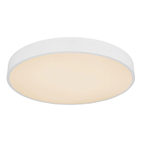 Купить Потолочный светодиодный светильник Globo Leanara 41756-36W в Туле