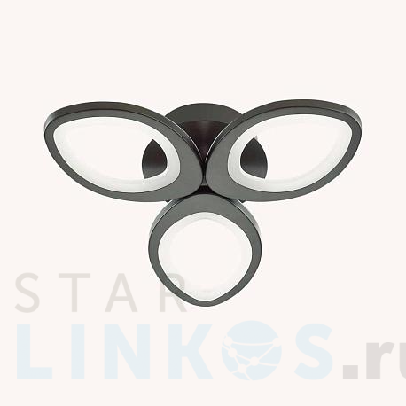 Купить Потолочная светодиодная люстра Lumion Ledio Lulu 4575/60CL за 3 800 руб. в Туле фото 2 Купить с доставкой Потолочная светодиодная люстра Lumion Ledio Lulu 4575/60CL в Туле фото 2