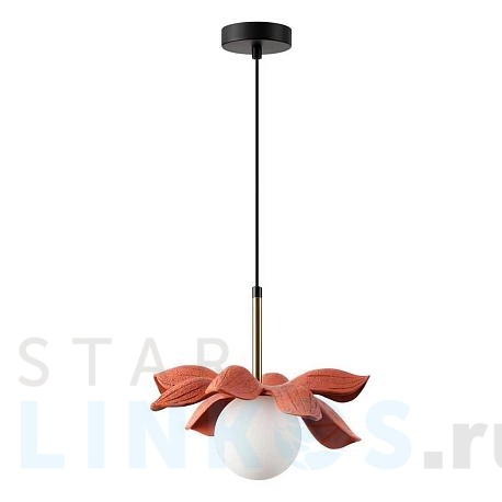 Купить Подвесной светильник Lumion Tanzania 5618/1 за 4 870 руб. в Туле фото 2 Купить с доставкой Подвесной светильник Lumion Tanzania 5618/1 в Туле фото 2