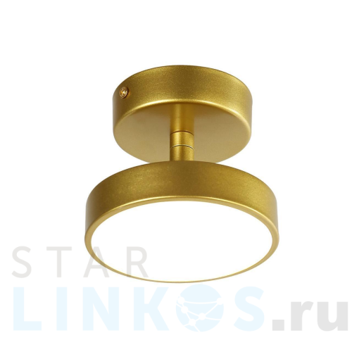 Купить Потолочный светильник F-Promo Atma 3059-1P за 5 500 руб. в Туле Купить с доставкой Потолочный светильник F-Promo Atma 3059-1P в Туле