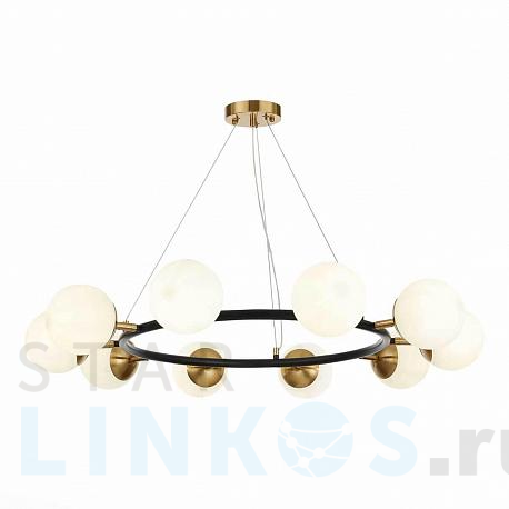 Купить Подвесная люстра Evoluce FORLI SLE220403-10 за 23 980 руб. в Туле фото 2 Купить с доставкой Подвесная люстра Evoluce FORLI SLE220403-10 в Туле фото 2