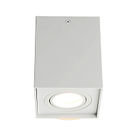 Купить Потолочный светильник Omnilux Feletto OML-101109-01 в Туле