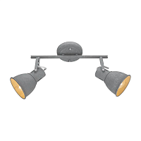 Купить Спот Arte Lamp A1677PL-2GY в Туле