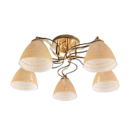 Купить Потолочная люстра Hiper Gabriella H011-5 в Туле