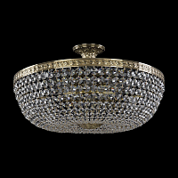Купить Потолочная люстра Bohemia Ivele 19111/55IV G в Туле