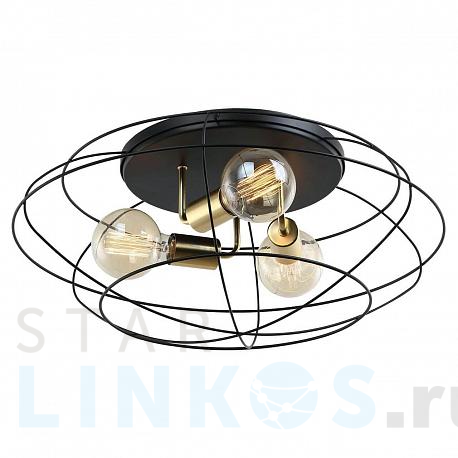 Купить Потолочная люстра Lussole Loft Truman GRLSP-8195 за 11 485 руб. в Туле фото 2 Купить с доставкой Потолочная люстра Lussole Loft Truman GRLSP-8195 в Туле фото 2