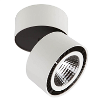 Купить Потолочный светодиодный светильник Lightstar Forte Muro 214850 в Туле