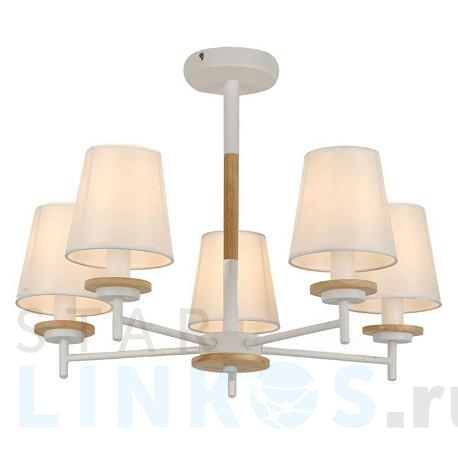 Купить Потолочная люстра MyFar Daniel MR1841-5C за 12 195 руб. в Туле фото 2 Купить с доставкой Потолочная люстра MyFar Daniel MR1841-5C в Туле фото 2