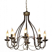 Купить Подвесная люстра Lussole Todi GRLSA-4613-08 в Туле