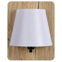 Купить Настенный светильник Lucide Idaho 77281/01/76 в Туле