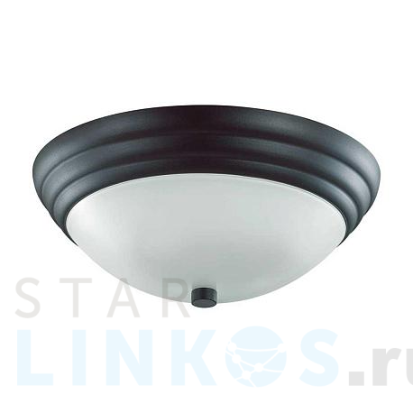 Купить Настенно-потолочный Lumion Vintage Kayla 5263/2C за 2 000 руб. в Туле фото 2 Купить с доставкой Настенно-потолочный Lumion Vintage Kayla 5263/2C в Туле фото 2