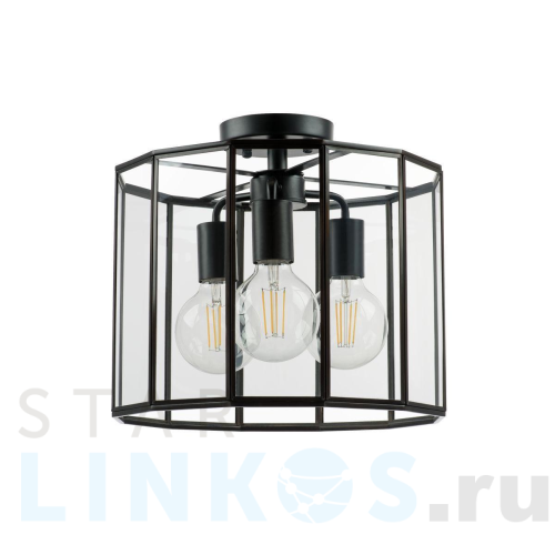 Купить Потолочная люстра Lightstar Genni 798237 за 21 847 руб. в Туле Купить с доставкой Потолочная люстра Lightstar Genni 798237 в Туле