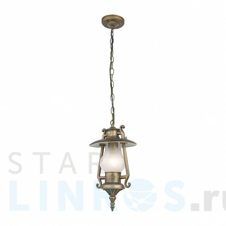 Купить Уличный подвесной светильник Favourite Leyro 1496-1P за 9 200 руб. в Туле фото 2 Купить с доставкой Уличный подвесной светильник Favourite Leyro 1496-1P в Туле фото 2