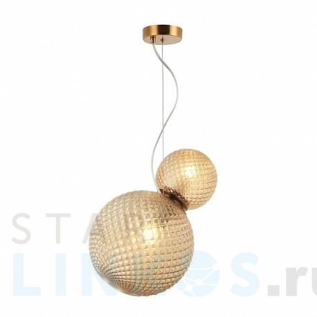 Купить Подвесной светильник Aployt Patunia APL.301.16.02 за 11 110 руб. в Туле фото 2 Купить с доставкой Подвесной светильник Aployt Patunia APL.301.16.02 в Туле фото 2