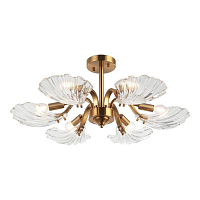 Купить Потолочная люстра Stilfort Muschel 2153/05/06P в Туле