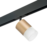 Купить Трековый светильник Lightstar Rullo (213490+595087+202481) PRO349081 в Туле