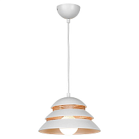 Купить Подвесной светильник Lussole Loft Beijing GRLSP-8130 в Туле