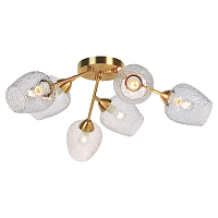 Купить Потолочная люстра Lussole Lgo LSP-8720 в Туле