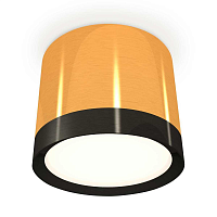Купить Комплект накладного светильника Ambrella light Techno Spot XS (C8121, N8113) XS8121001 в Туле