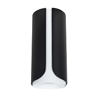 Купить Потолочный светильник Arte Lamp Pino A7376PL-1BK в Туле