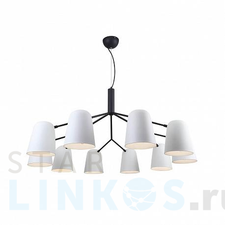 Купить Подвесная люстра F-Promo Trick 2762-10P за 27 500 руб. в Туле фото 2 Купить с доставкой Подвесная люстра F-Promo Trick 2762-10P в Туле фото 2