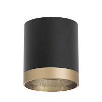 Купить Потолочный светильник Lightstar Rullo (213487+203490) R348790 в Туле