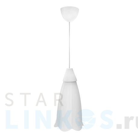 Купить Подвесной светильник Apeyron Брауэр 16-20 за 461 руб. в Туле фото 2 Купить с доставкой Подвесной светильник Apeyron Брауэр 16-20 в Туле фото 2